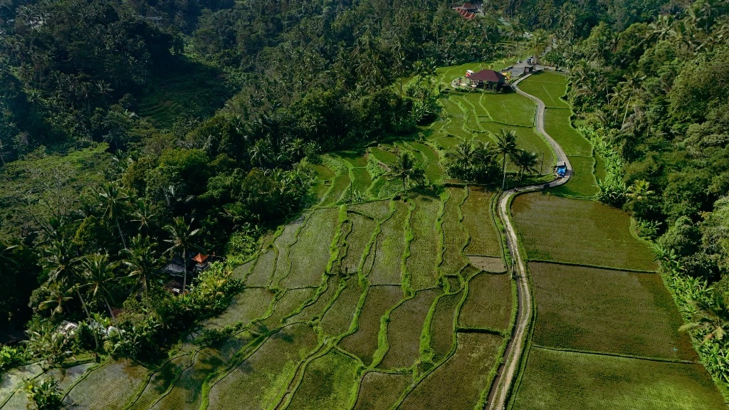 Ubud